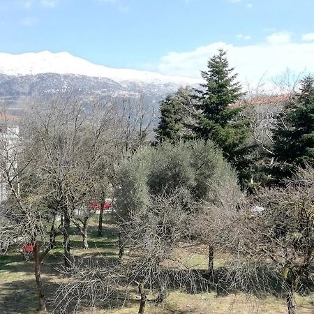 Gks Park View Apartamento Ioannina Exterior foto